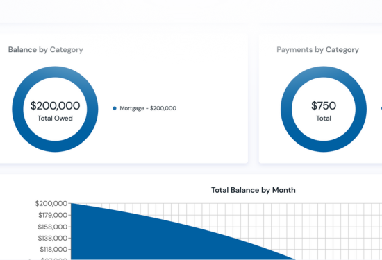 Debt Manager _ Dashboard.png